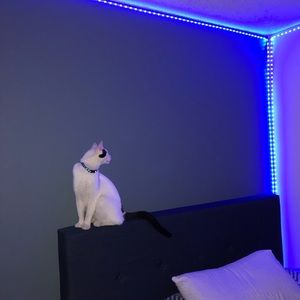 Meet your Posher, Nicholas